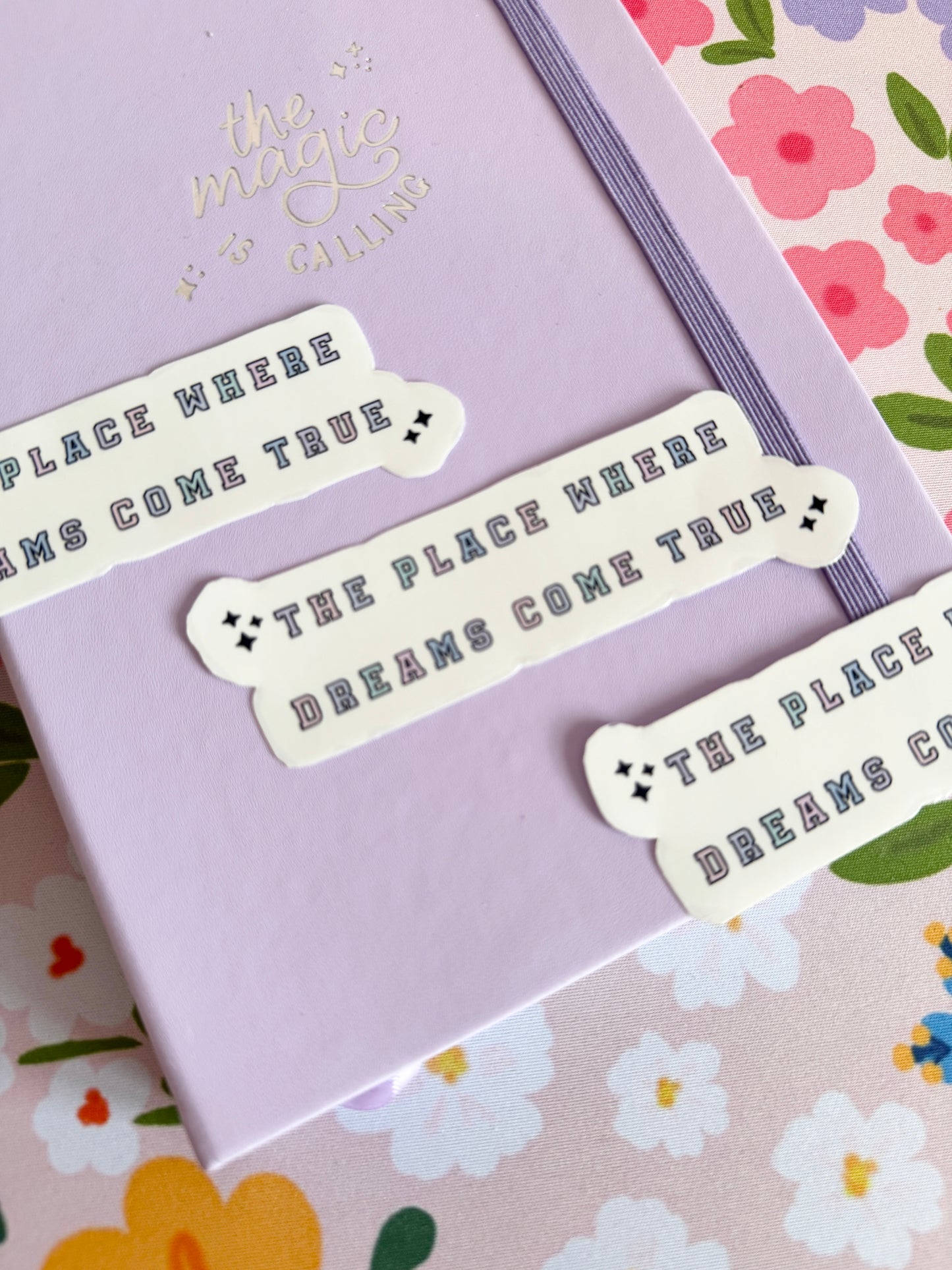 'The Place Where Dreams Come True' Clear Sticker