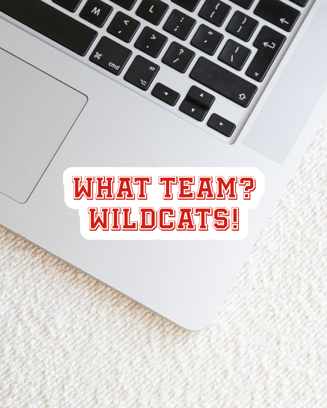 WHAT TEAM? WILDCATS! Sticker