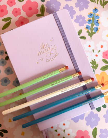 Park Rides Pencils Set of 5 - Choose Your Foil