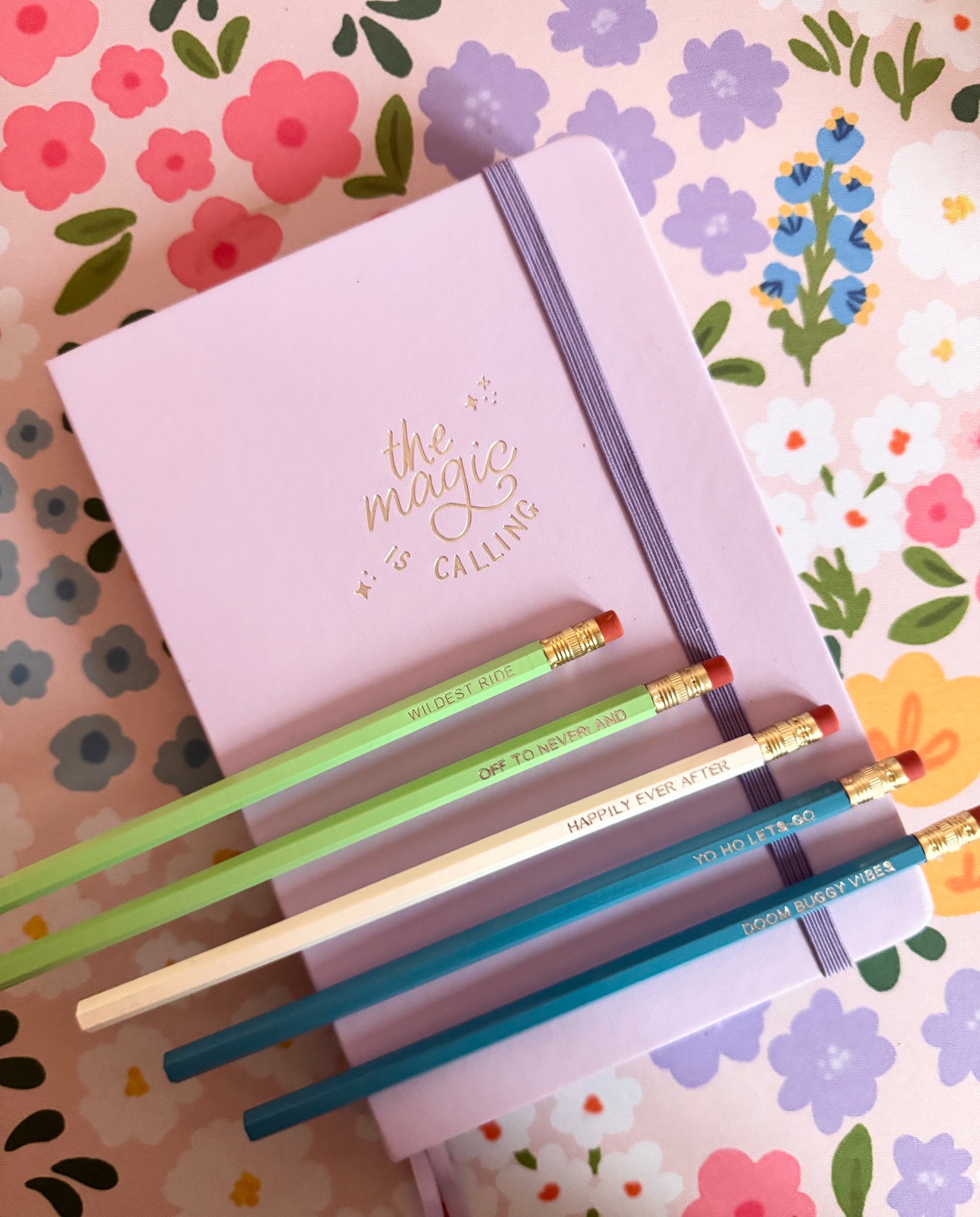 Park Rides Pencils Set of 5 - Choose Your Foil