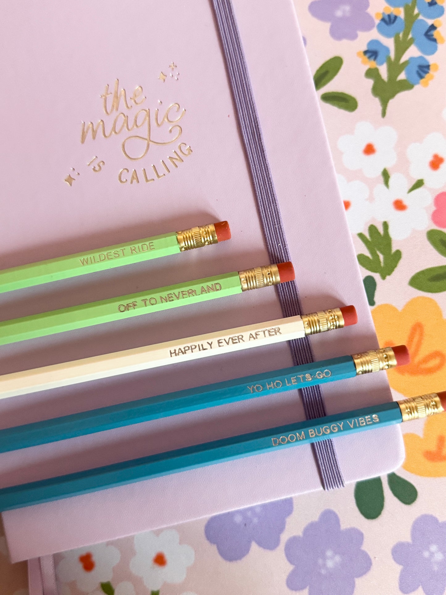 Park Rides Pencils Set of 5 - Choose Your Foil