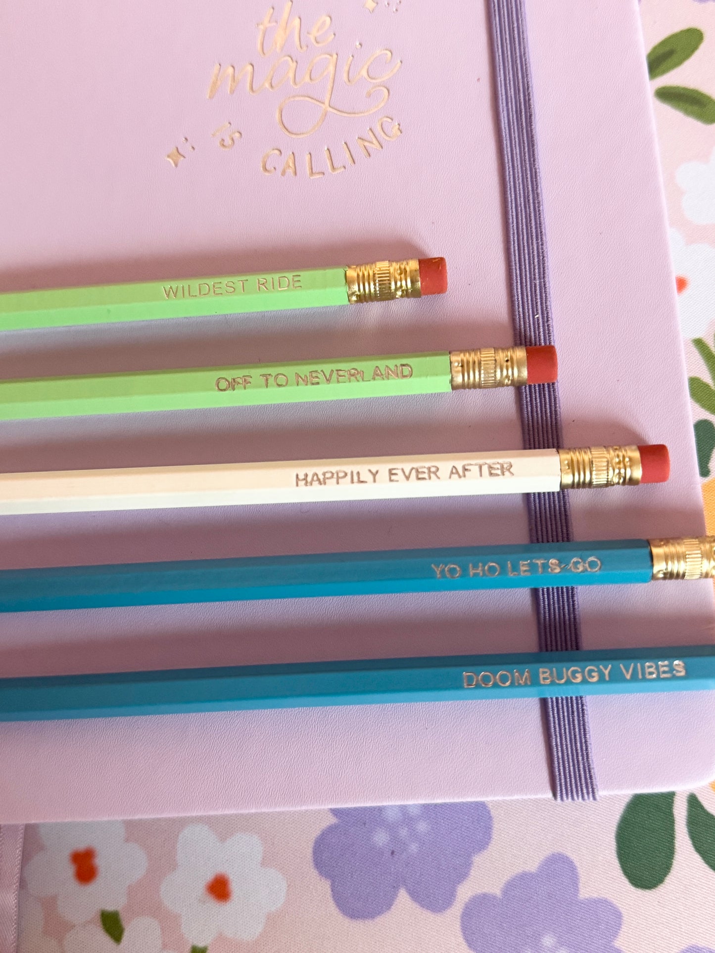 Park Rides Pencils Set of 5 - Choose Your Foil