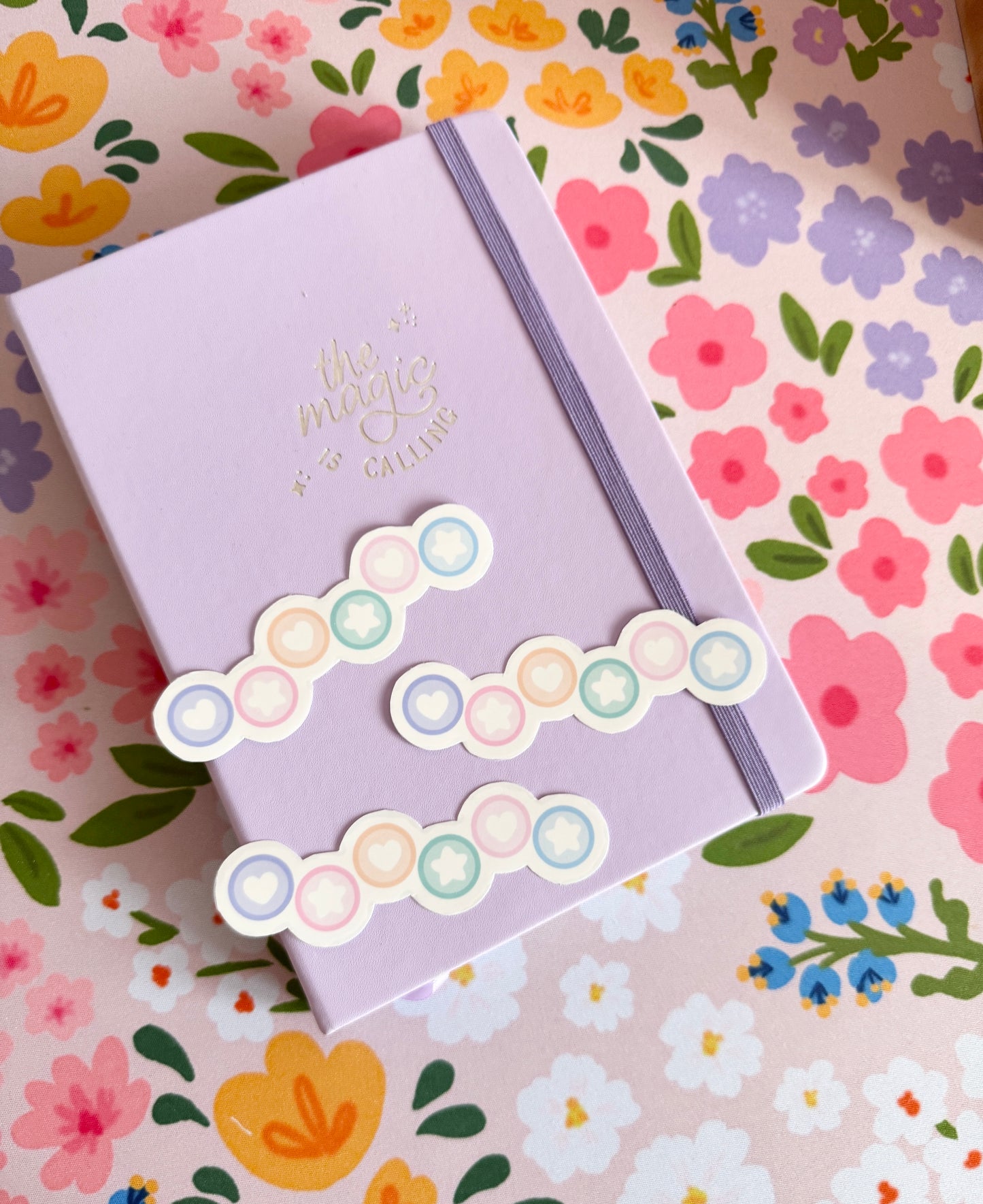 Rainbow Planner Discs Clear Sticker